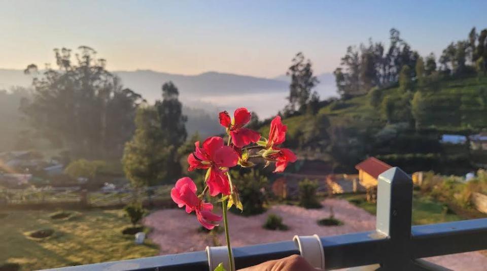 Orchard Valley View Ooty Exteriér fotografie